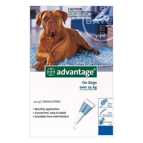 Advantage Extra Large Dogs Over 55 Lbs (blue) 12 Doses