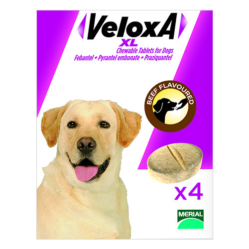 Veloxa Xl Tablets For Large Dogs Up To 35 Kg 2 Tablet