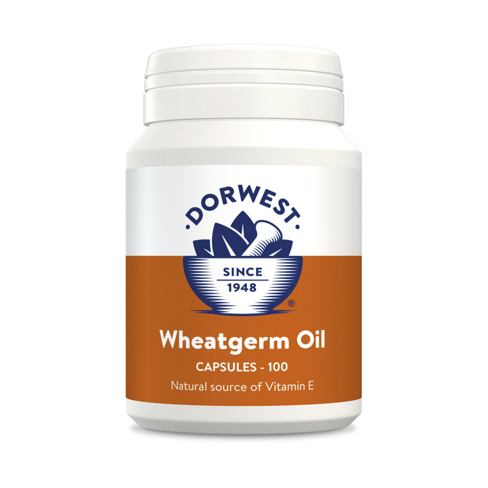 Dorwest Wheatgerm Oil Capsules for Supplements