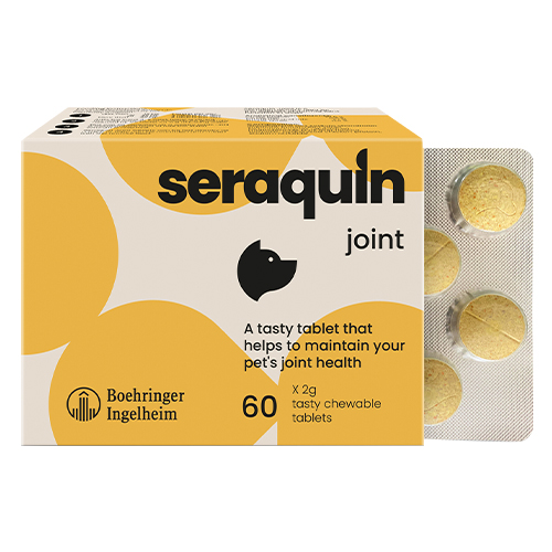Seraquin-joint-60x2g-tab_03202025_033733.jpg