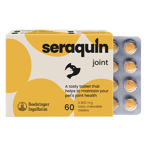 Seraquin for Dogs for Dog Supplies