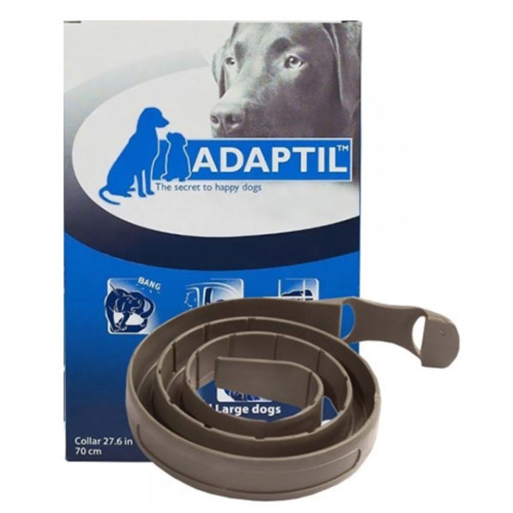 dap-collar-medlarge-dog-1600.jpg