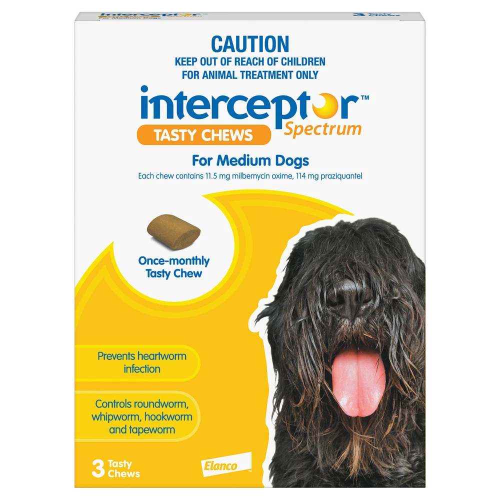 interceptor-for-medium-dogs-26-50-lbs-yellow.jpg