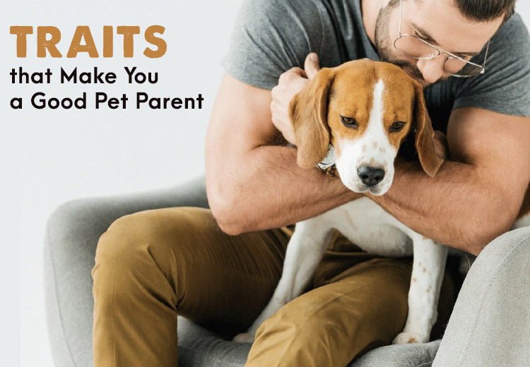Traits that Make You a Good Pet Parent