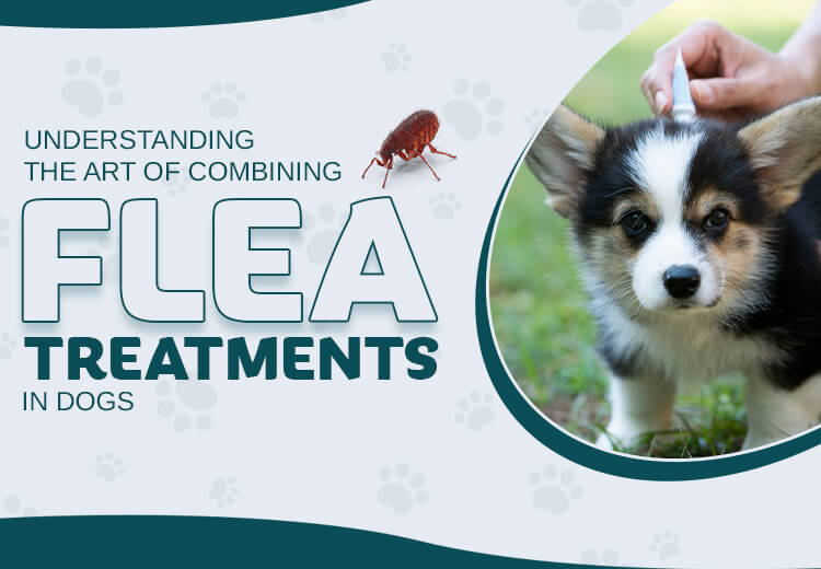 Understanding the Art of Combining Flea Treatments in Dogs