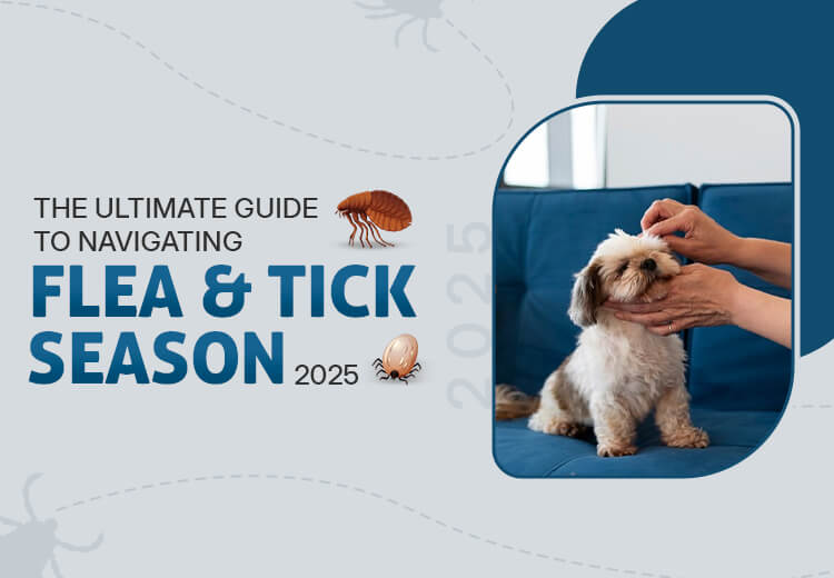 The Ultimate Guide to Navigating Flea & Tick Season 2025