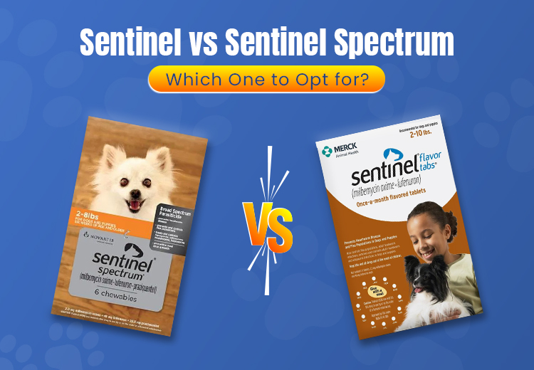 Sentinel vs Sentinel Spectrum – Which One to Opt for?