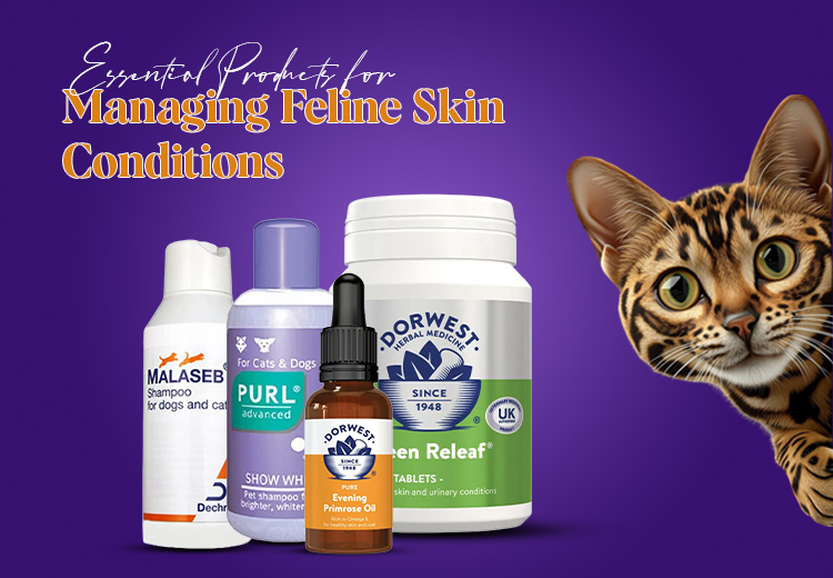 The 7 Most Common Dog Dental Problems