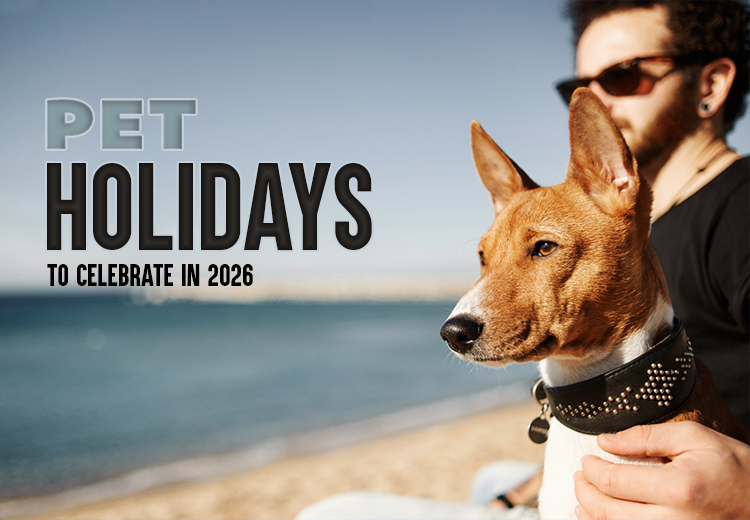 Pet Holidays to Celebrate in 2026