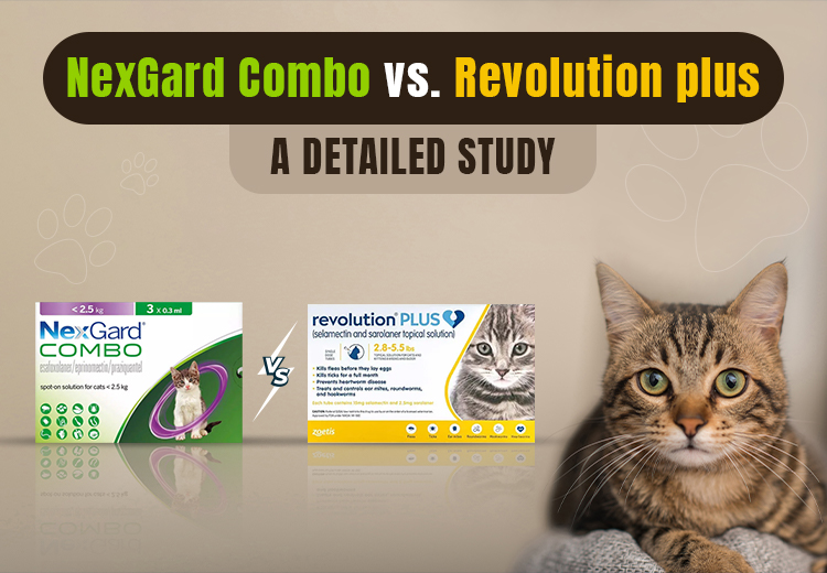 NexGard Combo vs. Revolution plus – A Detailed Study