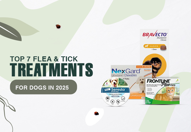 Top 7 Flea & Tick Treatments for Dogs in 2025