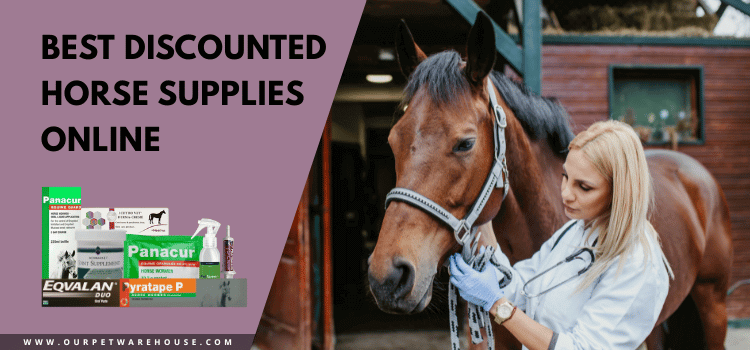 Horse Supplies online at lowest price