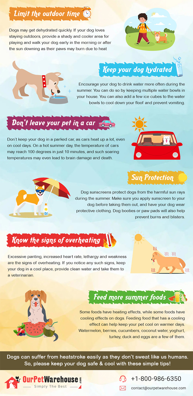 Summer-Tips-For-Dogs