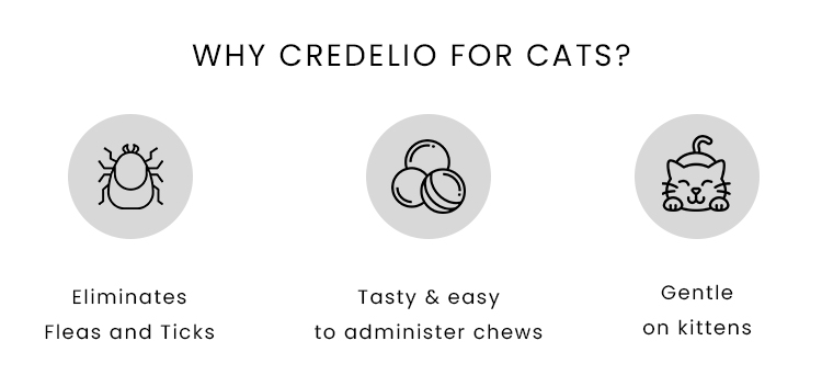 why credelio need for cats